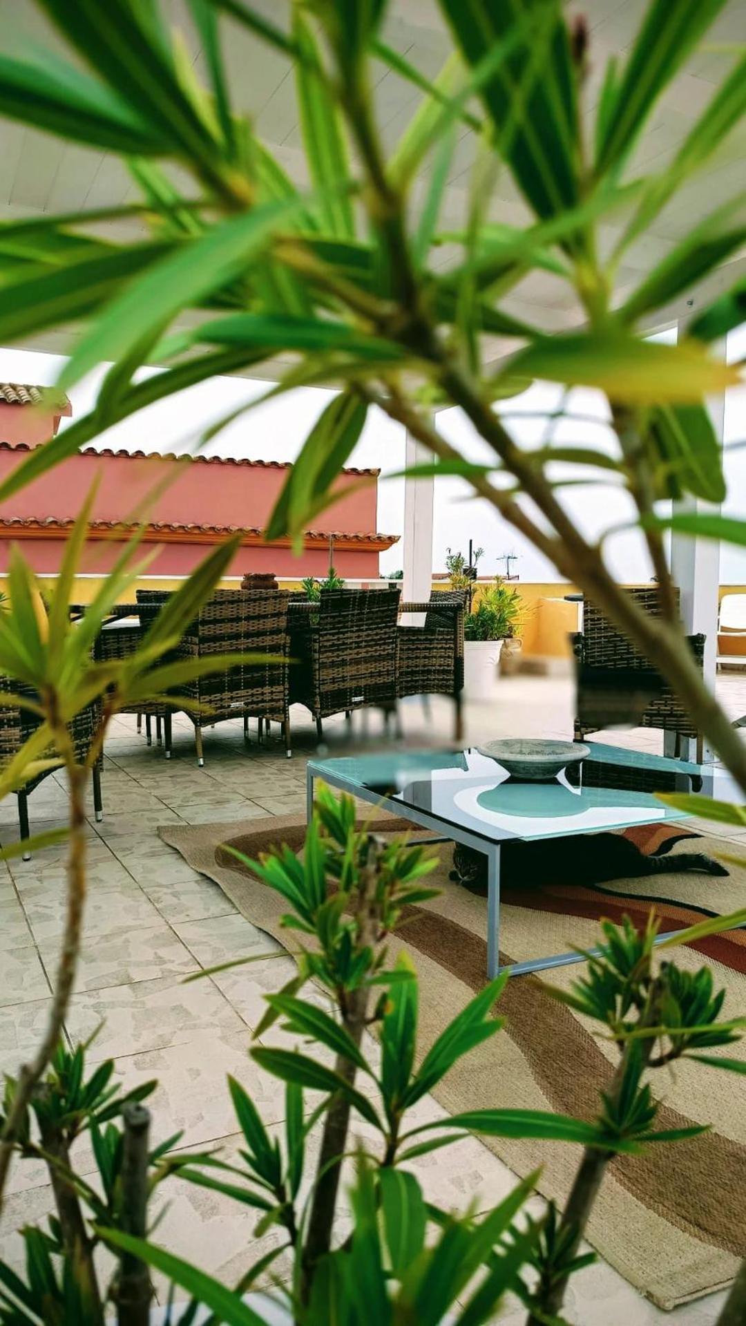 Domos Le Due Tuie Bed and Breakfast Piscinas Buitenkant foto