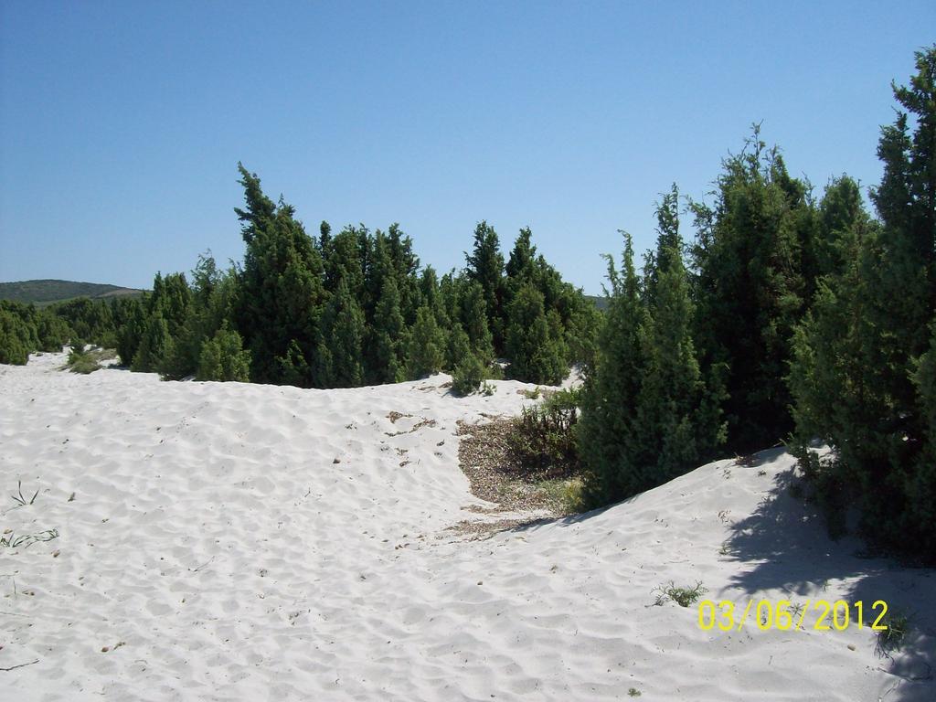 Domos Le Due Tuie Bed and Breakfast Piscinas Buitenkant foto